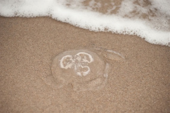 6 Crazy Mysteries That Have Never Been Solved 6 Crazy Mysteries That Have Never Been Solved