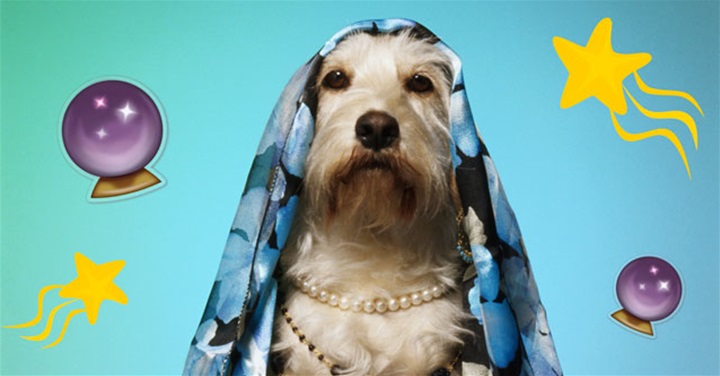 Astro Girl Monthly Horoscopes: October Astro Girl Monthly Horoscopes: October