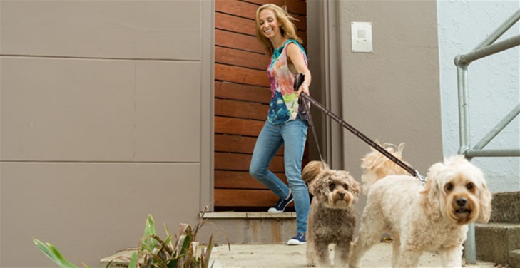 Pet Questions: Ask A Vet Pet Questions: Ask A Vet