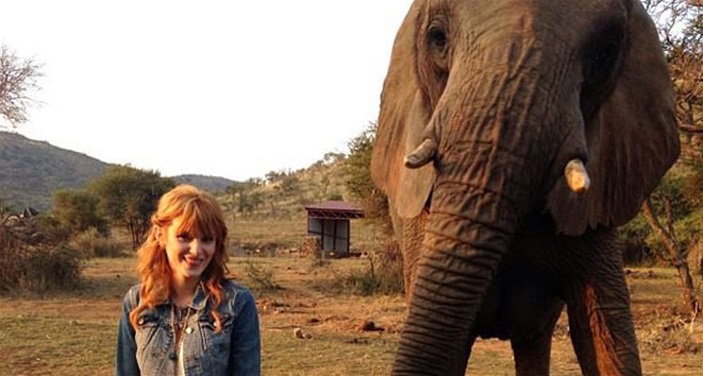 Bella's African Safari Bella's African Safari