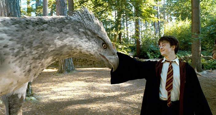 THREE HARRY POTTER MOVIES CONFIRMED! THREE HARRY POTTER MOVIES CONFIRMED!