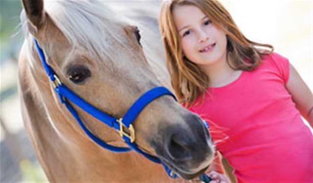 Happy Birthday Horses! Happy Birthday Horses!