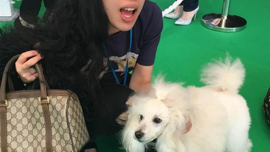 The Secret Life of Pets goss!