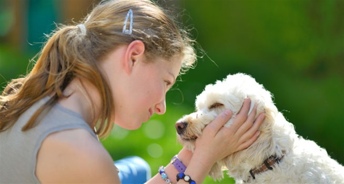 Most Popular Pets in Australia! Most Popular Pets in Australia!