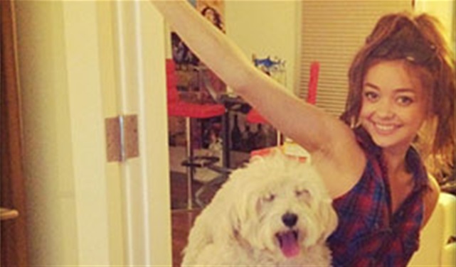 Sarah Hyland Adopted A Puppy! Sarah Hyland Adopted A Puppy!