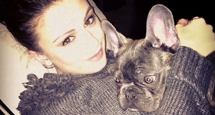 Adorbs Star Pets! Adorbs Star Pets!