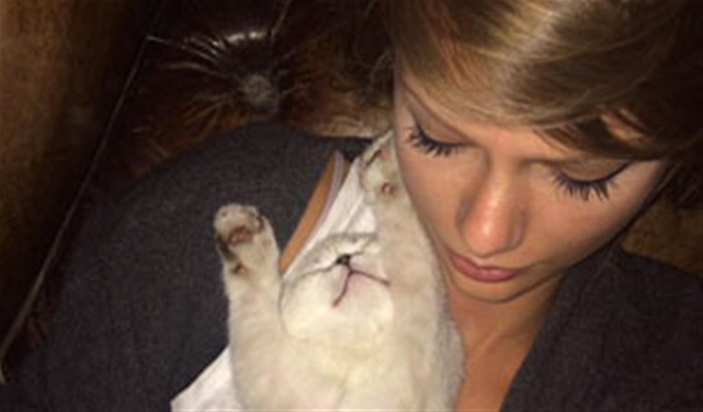 Taylor Swift Misses Her Cats! Taylor Swift Misses Her Cats!