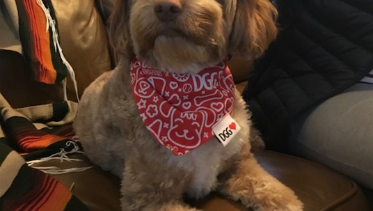 Plastic ain't so fantastic