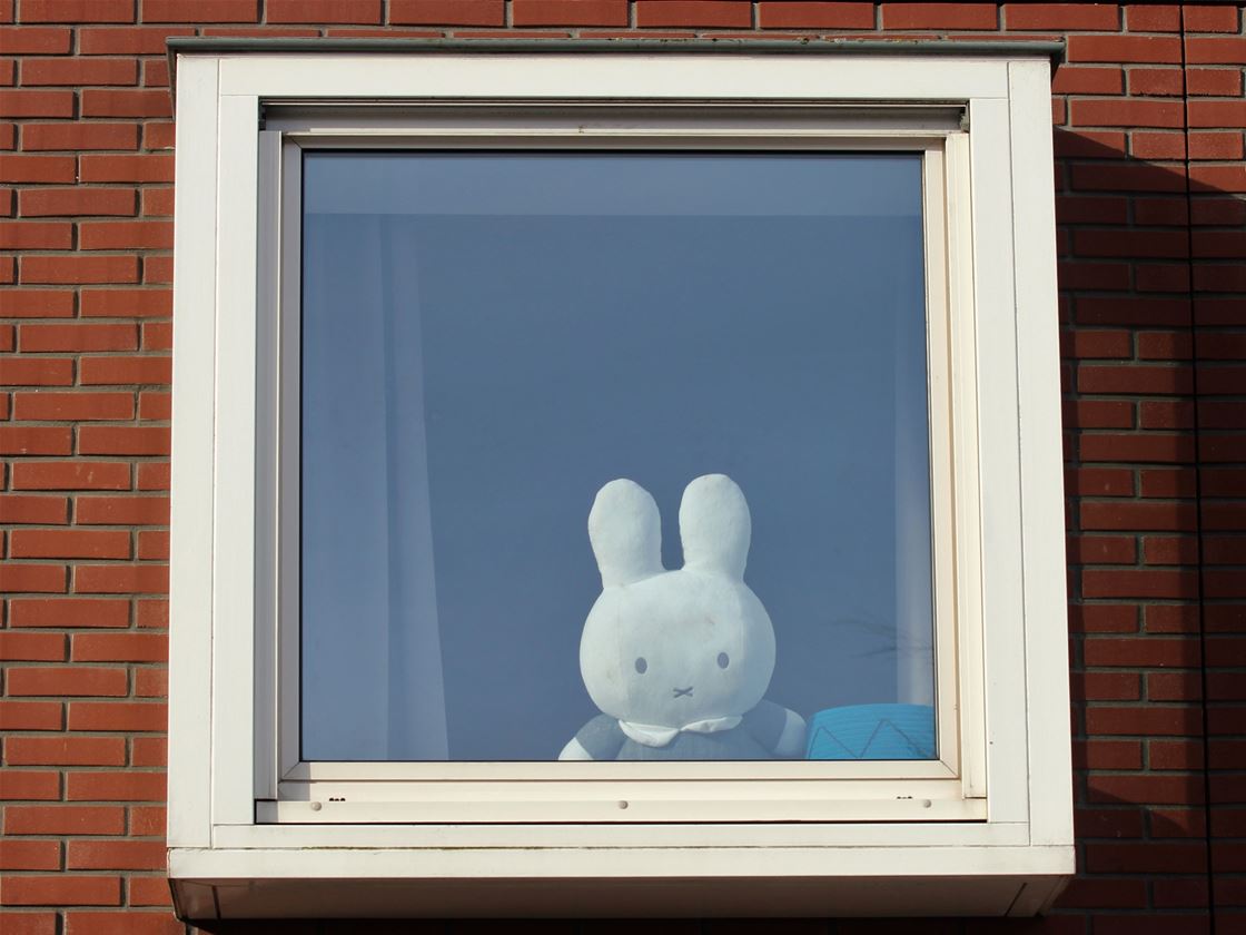 Bona Rabbit how a fictional cartoon rabbit became a bona fide icon • life • frankie ...