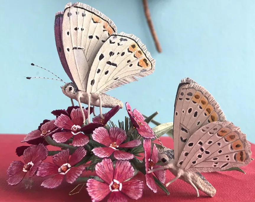 have a squiz at ann wood’s paper creations