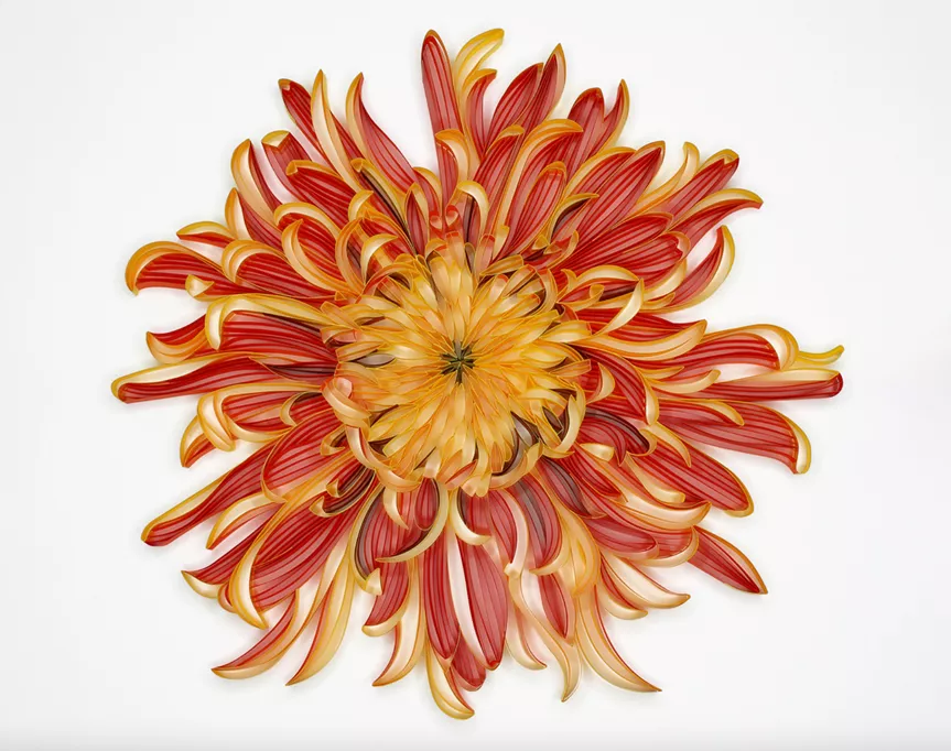 daphne lee creates stunning florals out of paper