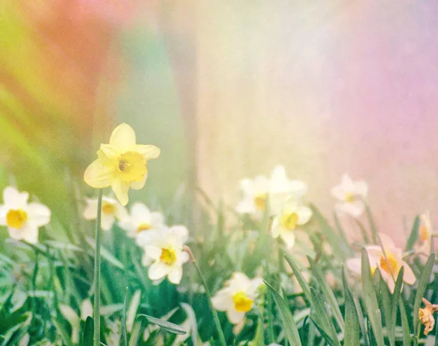 a brief guide on how to make film soup