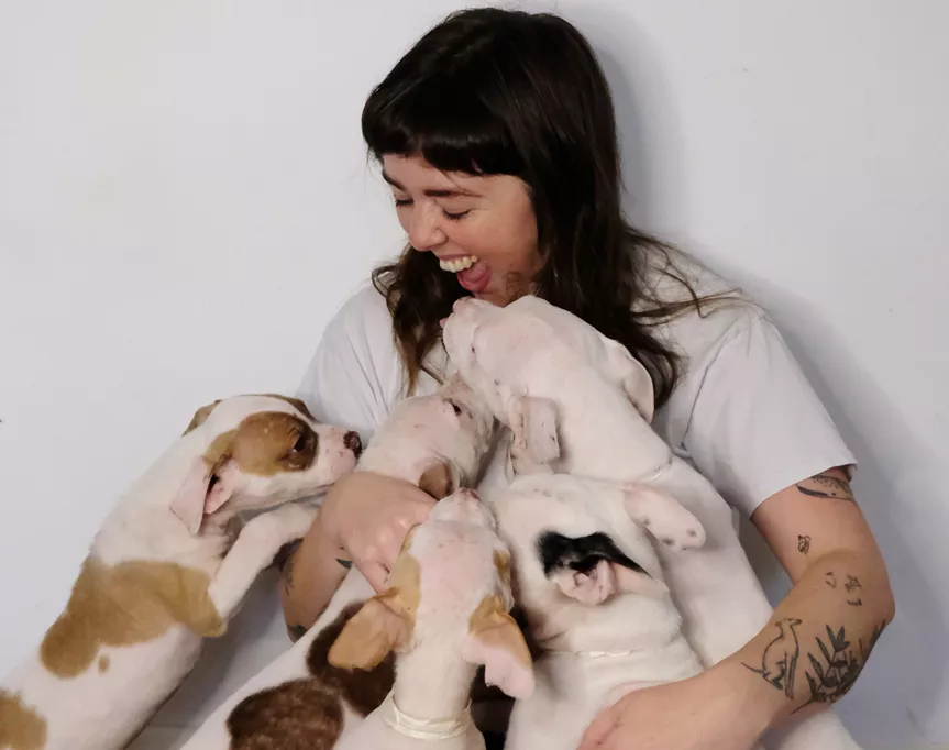 what to know about running an animal rescue