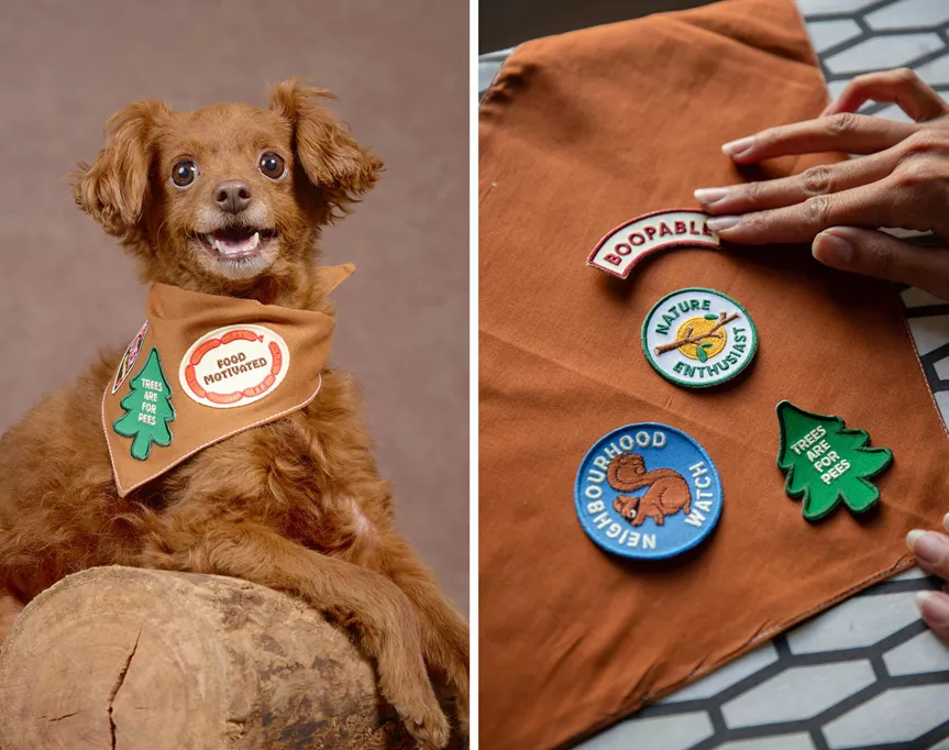 scout's honour makes super-cute merit badges for pups
