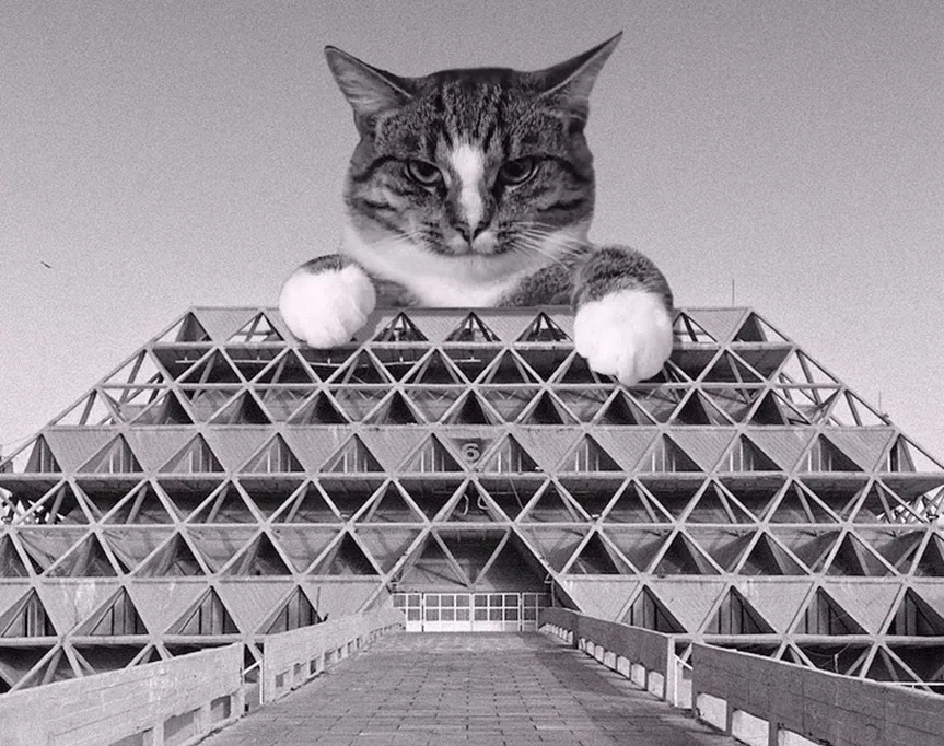 cats on brutalist buildings
