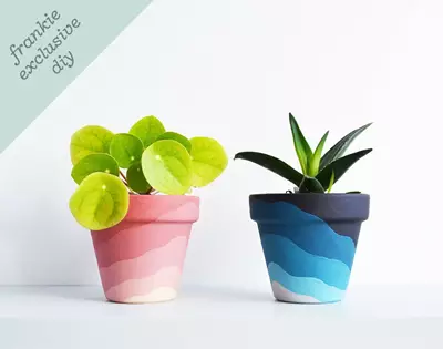 frankie exclusive diy: gradient planter pots