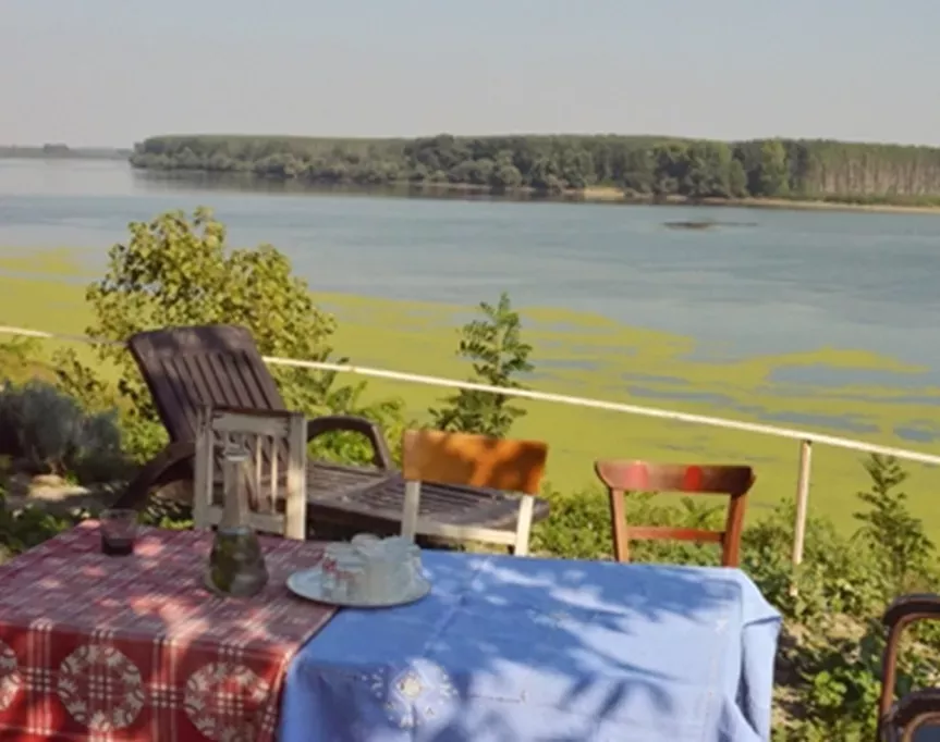 postcards - una janicijevic’s belgrade