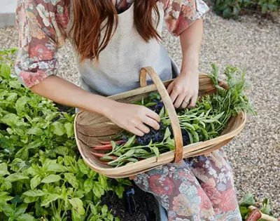 word from the wise: how to grow your own groceries
