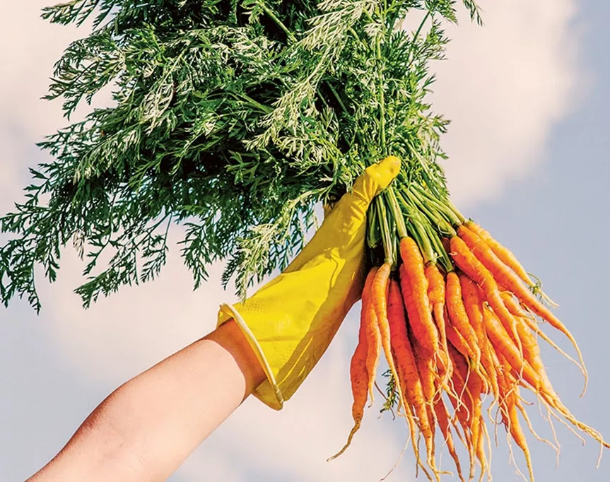 gardening for climate change