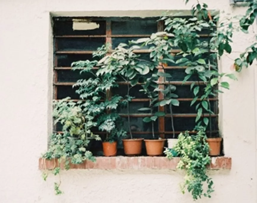 rose liu photography interview
