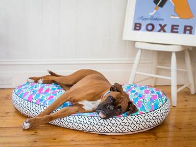 nice digs dog beds interiors frankie magazine australian fashion magazine online