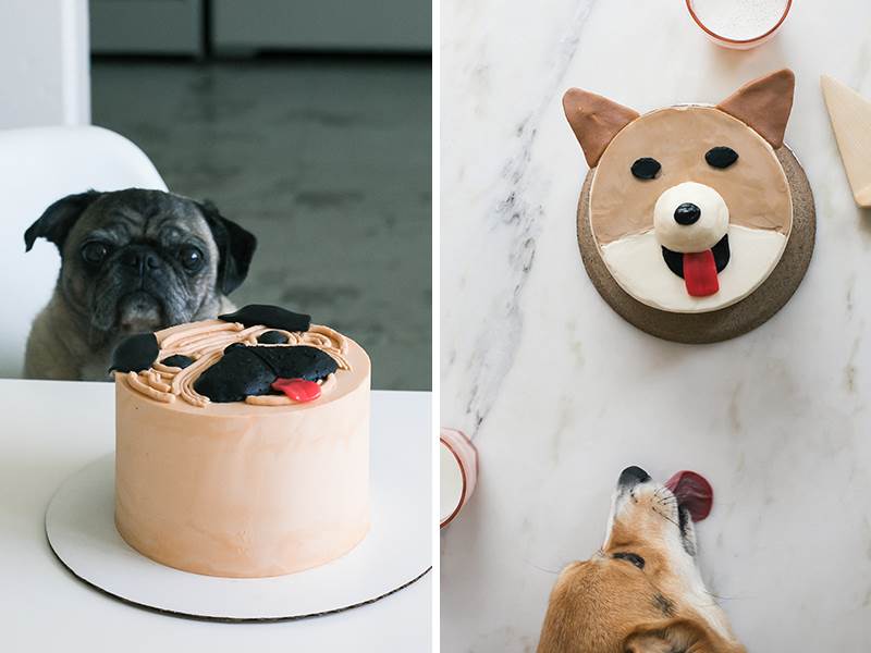 Cute DIY Pug Birthday Cake Kit | Cake 2 The Rescue