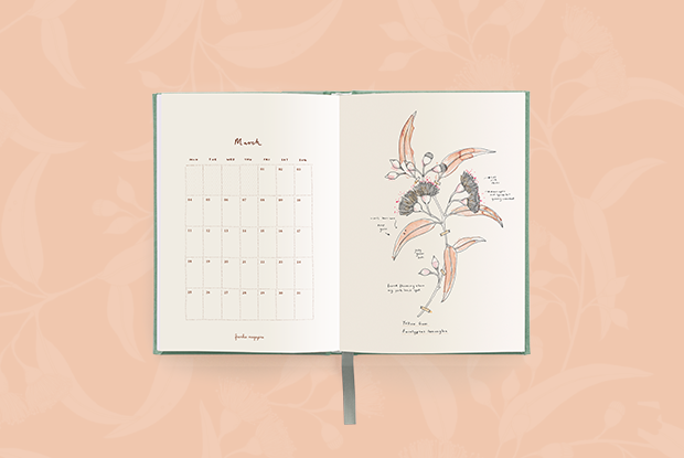 Blog hero full width Diary March Month