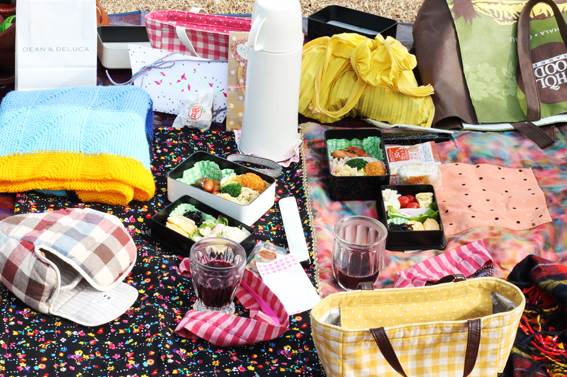 HelloSandwichPicnic