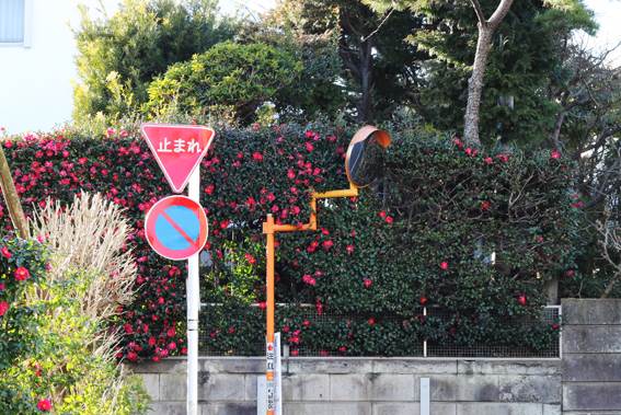 Shimokitazawa02