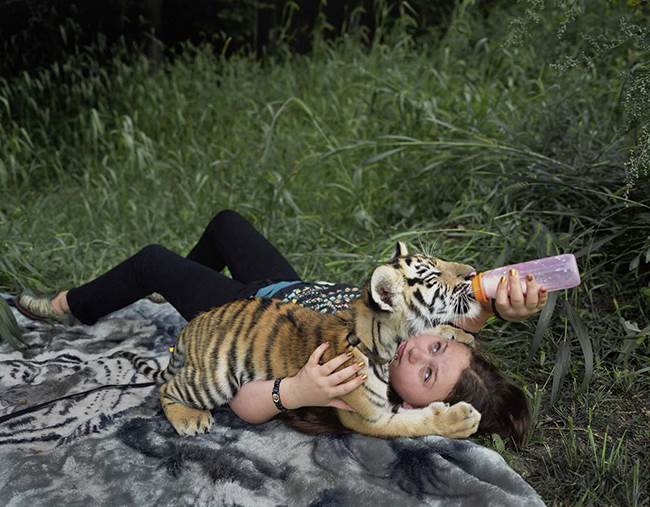 amelia and the animals 1
