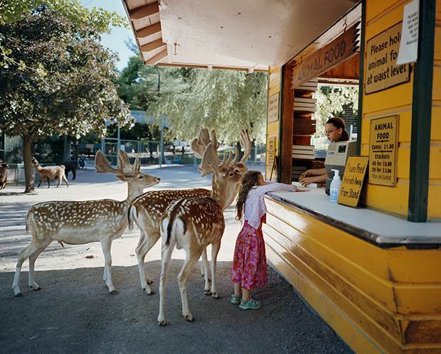 amelia and the animals 3