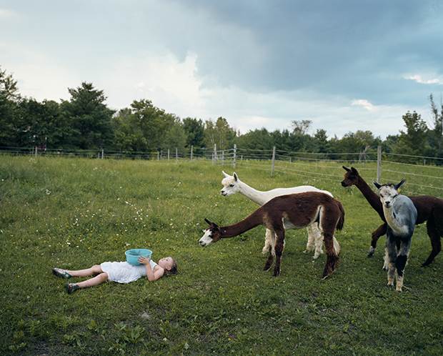 amelia and the animals 3