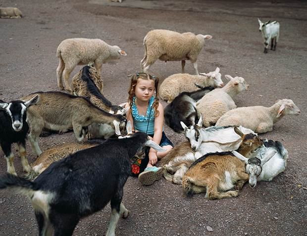 amelia and the animals 3