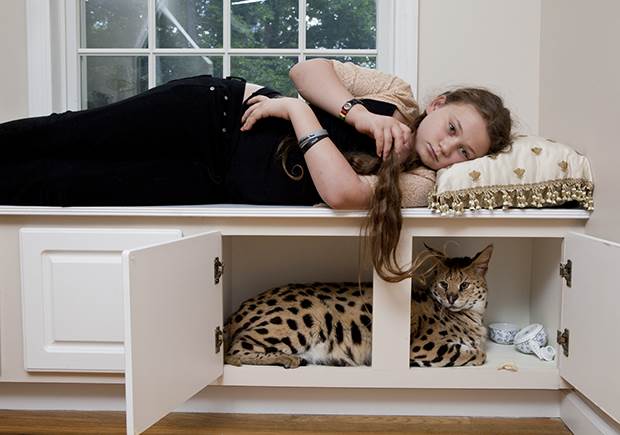 amelia and the animals 3