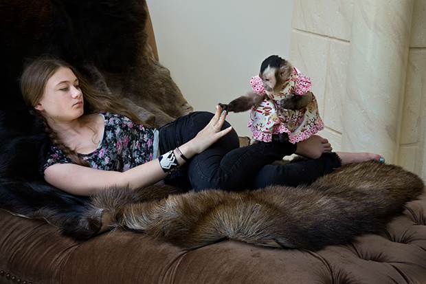 amelia and the animals 3