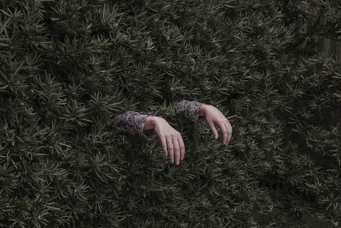 brooke didonato 2