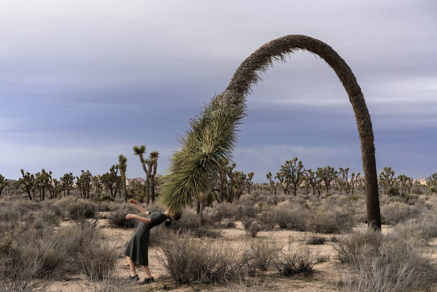 brooke didonato 3