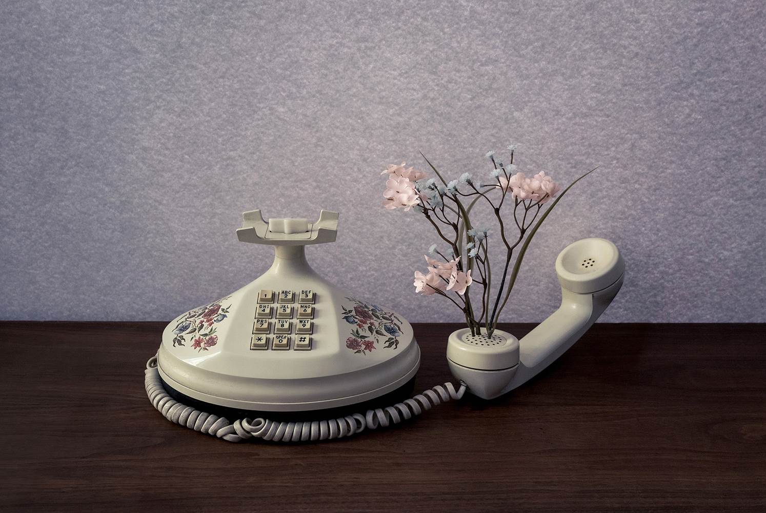 brooke didonato 4