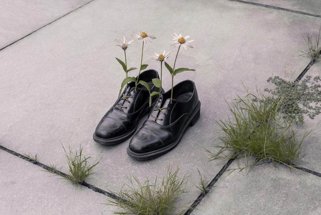 brooke didonato 5 copy
