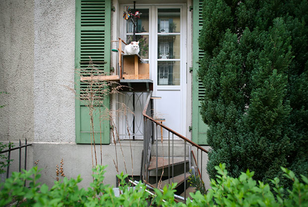 cat ladder 2