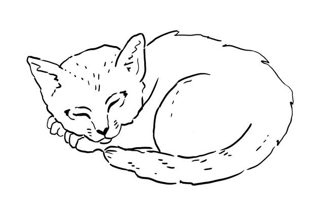 cat wheatpack pattern