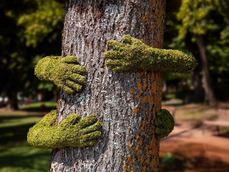 tree huggers • art • frankie magazine • australian fashion magazine online