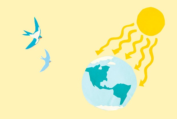 climate change body 2