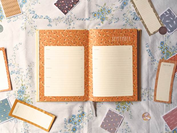 diary cal 2