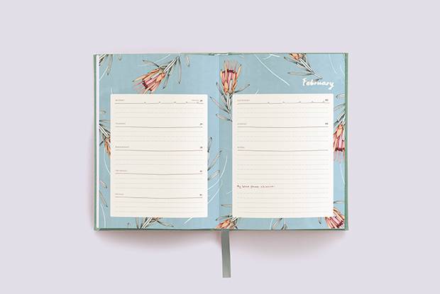 diary open feb 620x415 blog full width