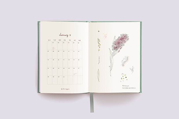 diary open m2mjan 620x415 blog full width