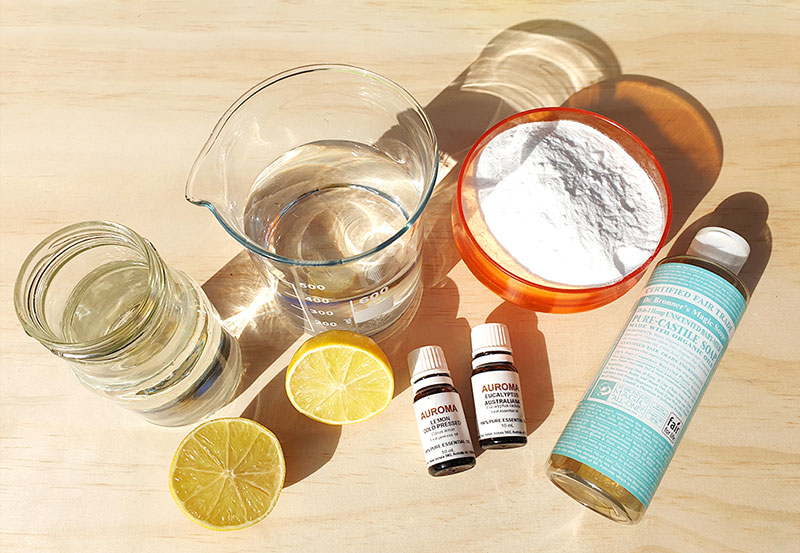 frankie exclusive diy natural cleaning paste ingredients