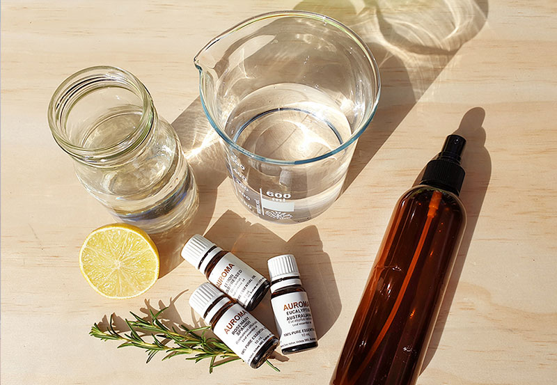 frankie exclusive diy natural cleaning products 1