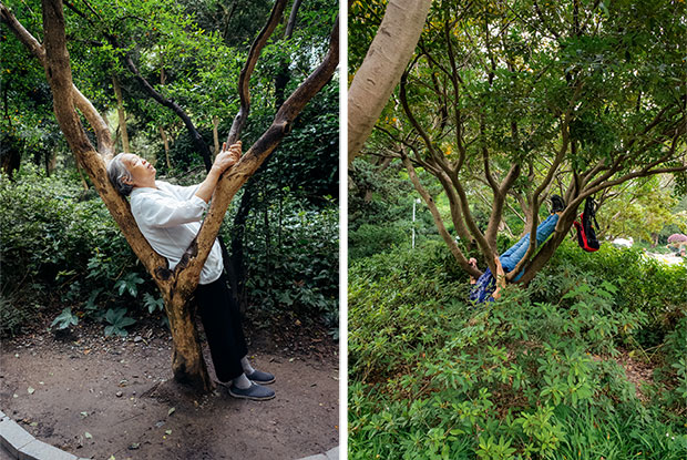 frankie ryan harding old people sleeping in parks