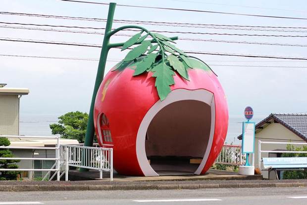 fruit shaped bus stops 3